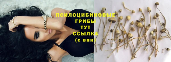 кокаин колумбия Горняк